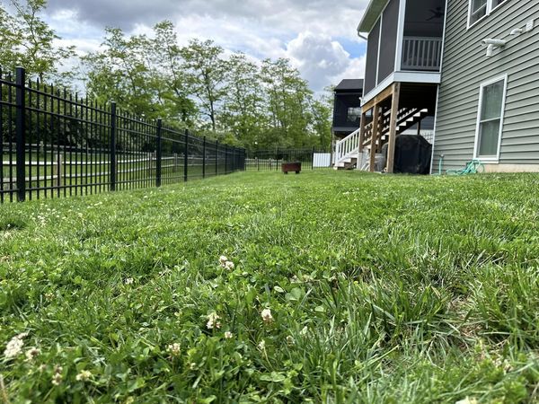 beautiful residential lawn