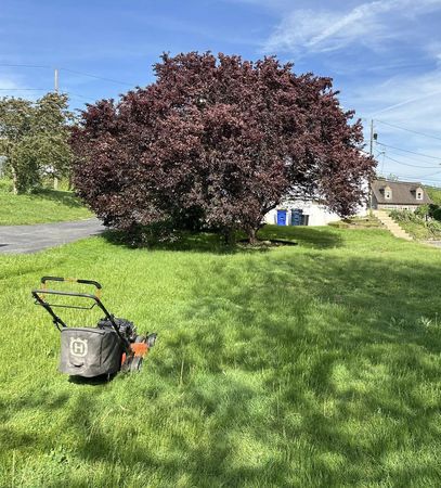 landscaper working on a lawn