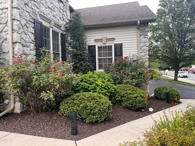 commercial landscaping