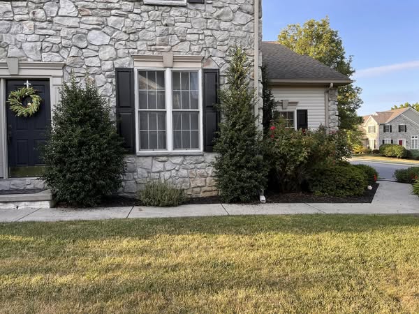 residential lawn care