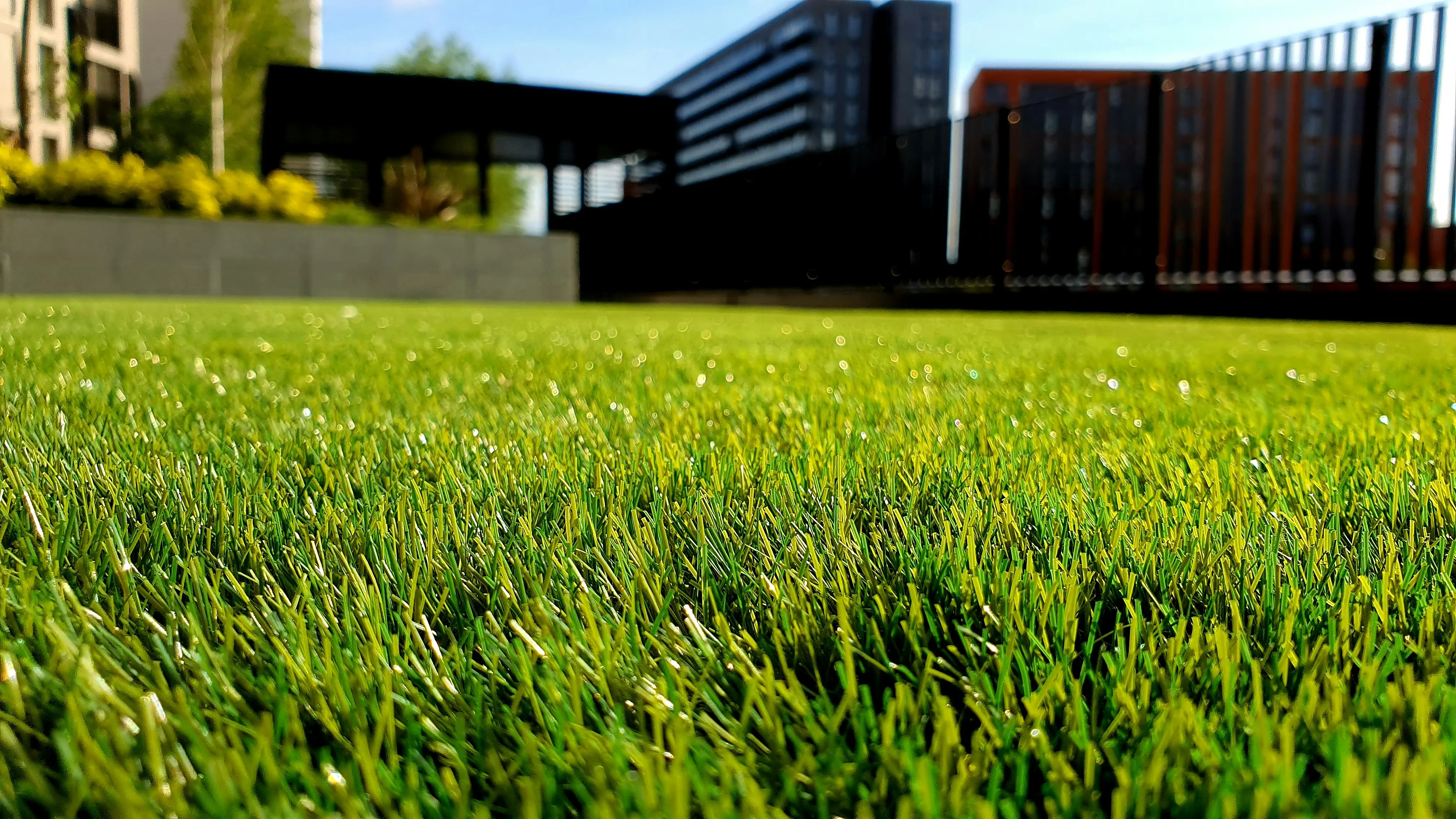 lawn with pricing overlay