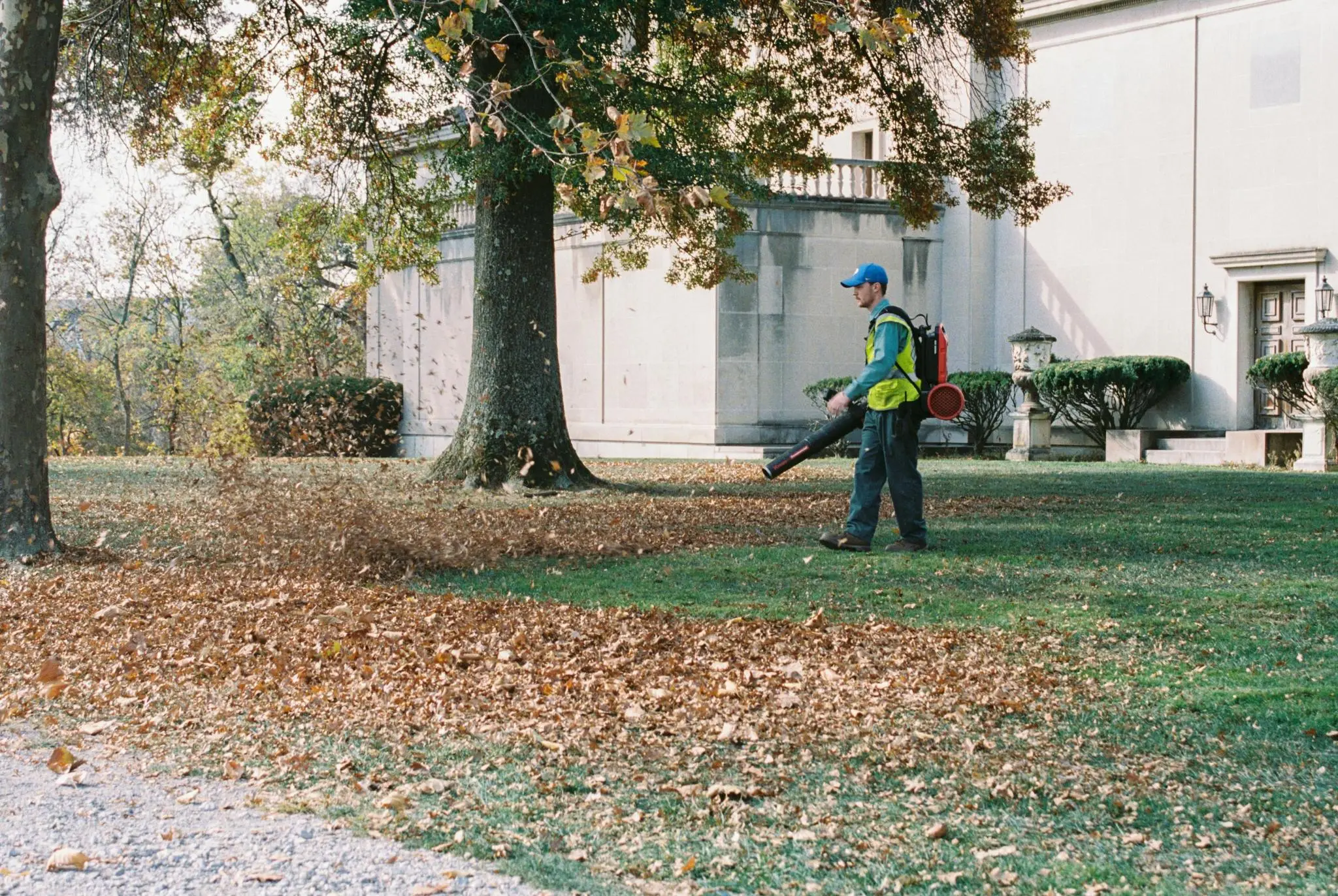 seasonal cleanup